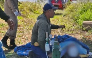 |