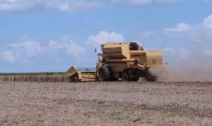 NF eletrônica vai ser obrigatória para produtores rurais a partir de 2025