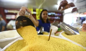Brasileiros ocupados ultrapassou os 100 milhões no último ano