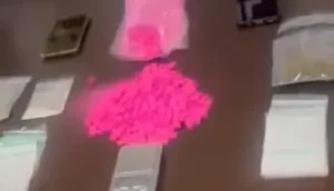 Além de ecstasy, varias outras drogas foram encontradas, como maconha e skunk | Foto: Divulgação