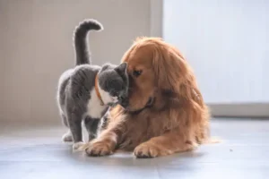 |
