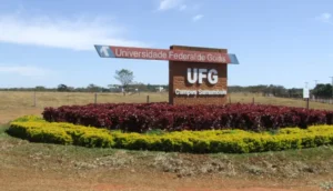 As inscrições para os cursos EaD da UFG com seleção via Enem estão abertas até 14 de junho de 2024 | Foto: Divulgação