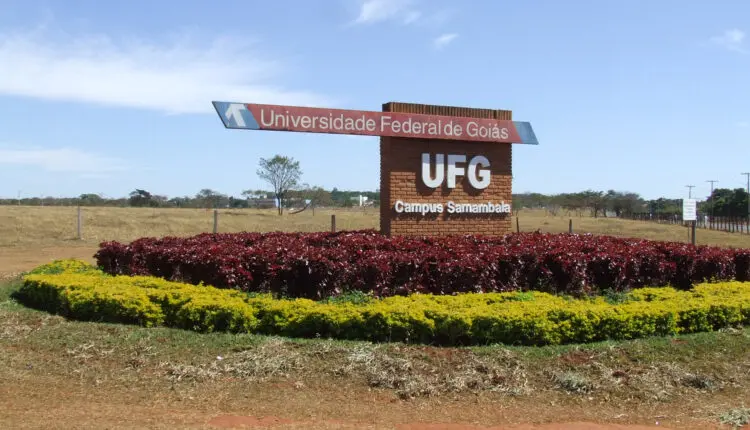 As inscrições para os cursos EaD da UFG com seleção via Enem estão abertas até 14 de junho de 2024 | Foto: Divulgação