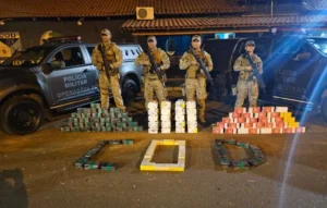 A carga, avaliada em R$ 380 mil, foi interceptada durante uma fiscalização de rotina | Foto: PMGO