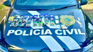 A Polícia encontrou junto ao motorista 31 porções de substâncias prontas para entrega | Foto: PCGO