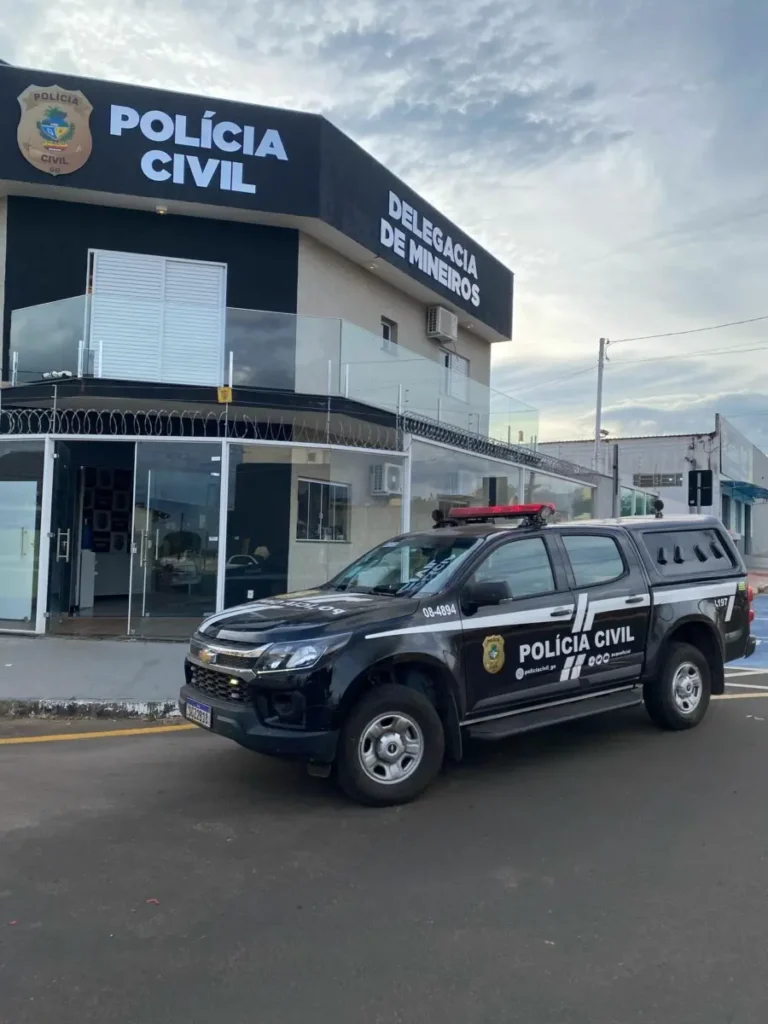 A ação aconteceu após uma denúncia da equipe da Equatorial Energia I Foto: Divulgação/PCGO