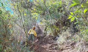 Vários incêndios atingiram o parque nos últimos anos | Foto: ICMBio