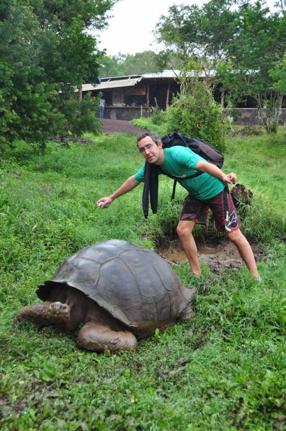 5 animais que desafiam o tempo na natureza