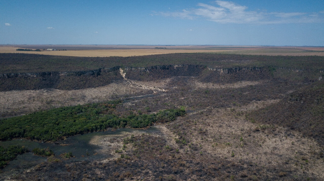 Balanço ambiental 2023: Amazônia celebra