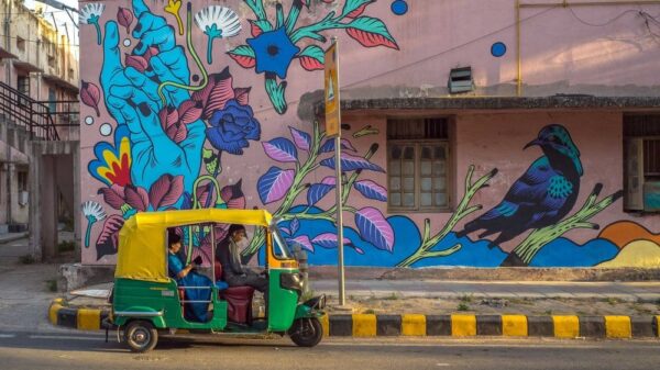 Bicicleta Sem Freio e a arte goiana sem limites