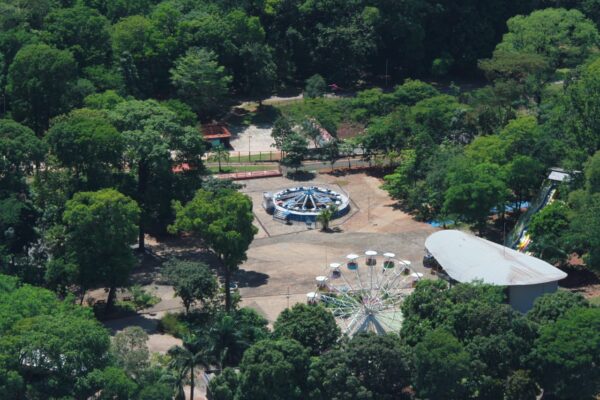 Prefeitura autoriza substituição de árvores no Parque Mutirama