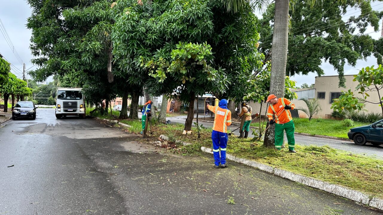 Prefeitura inicia operação de controle do mato alto em vias de Goiânia