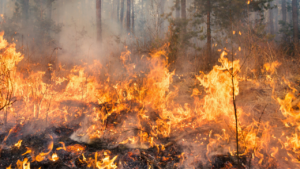 Incêndio atinge estação da Equatorial em Anápolis