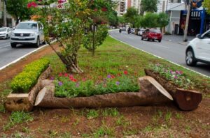 Prefeitura implanta novo paisagismo na Praça da Avenida 136