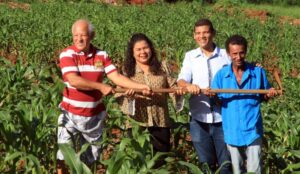 Lotes baldios viram plantações