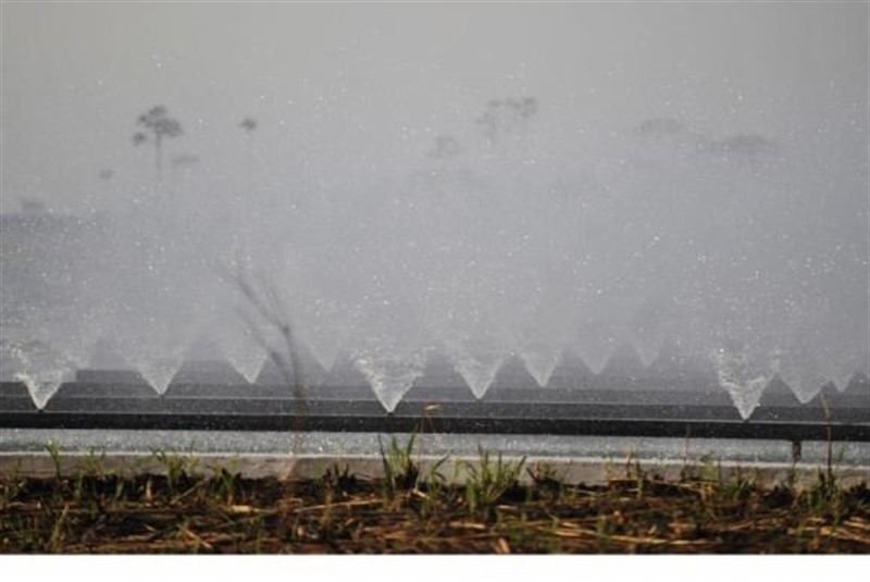 Projeto abrange 400 mil hectares de mata