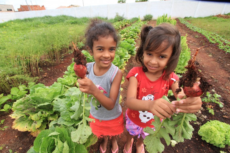 Hortas nas escolas