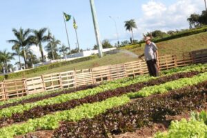 Hortas urbanas invadem Goiânia