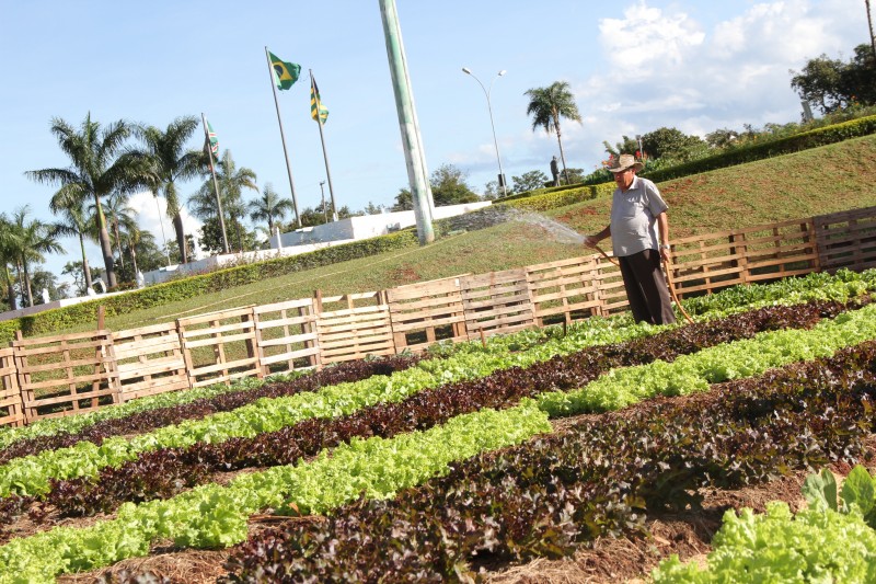 Hortas urbanas invadem Goiânia