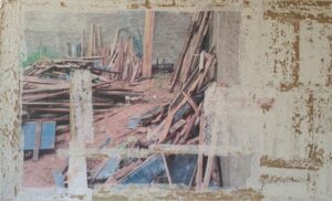 Hortência Moreira apresenta cartografia de olhares múltiplos