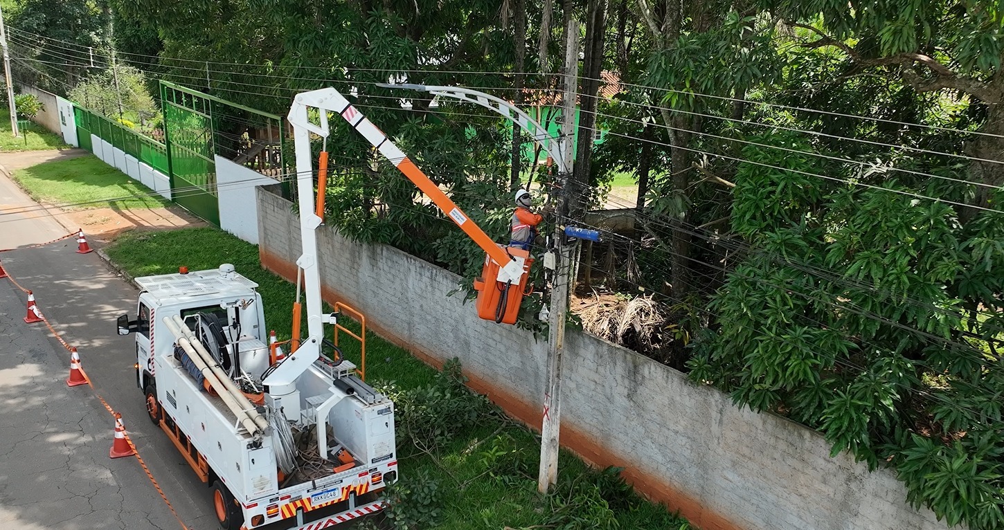 Goiás registra 32 mil ocorrências de galhos de árvores na rede elétrica