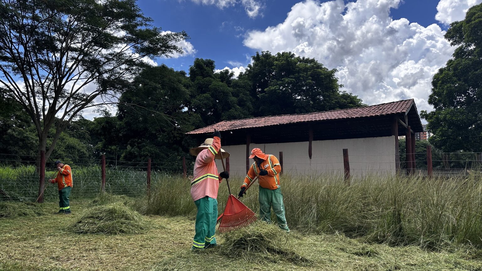 10 fecha Saulo Herminio Comurg