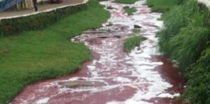 Caminhão derrama carga com sangue de gado no Rio Vermelho