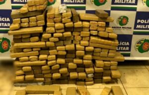 Cerca e 190 kg de maconha são apreendidos na GO-050