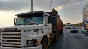 Suspeito de roubar carga avaliada em R$90 mil é preso