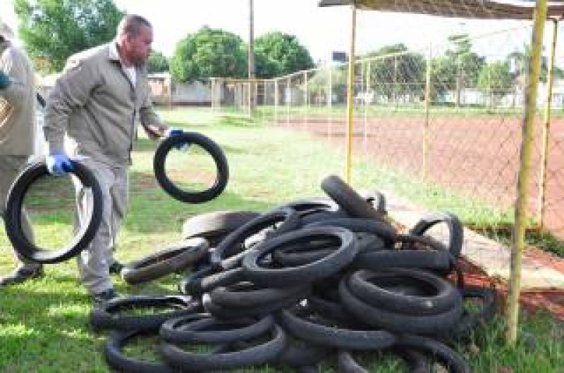 Prefeitura de Goiânia já recolheu mais  de 50 mil pneus neste ano