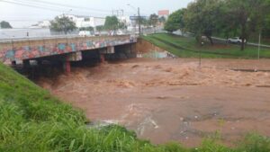 Forte chuva provoca estragos em Goiânia