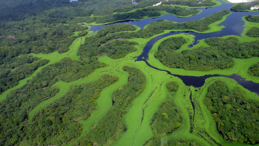 Expedições visita o Arquipélago de Anavilhanas