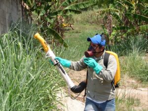 Casos de dengue em Goiás caíram 20%