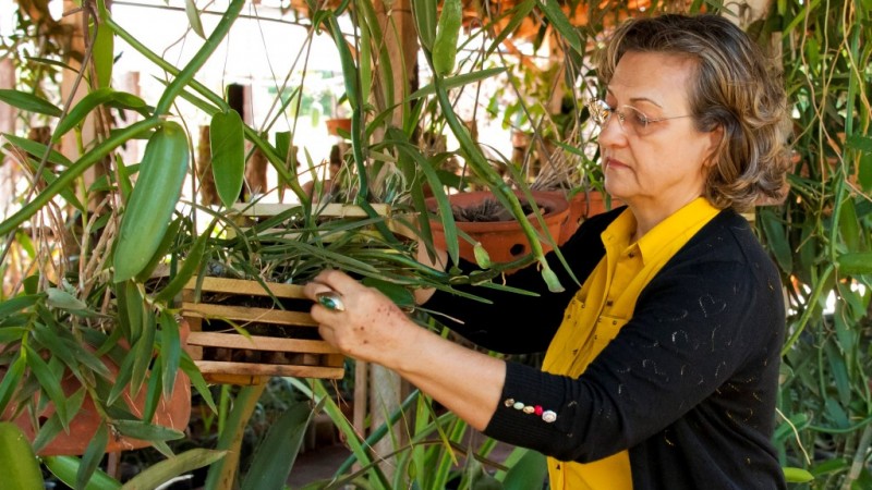 Goiana descreve espécies nativas para livro do Ministério do Meio Ambiente