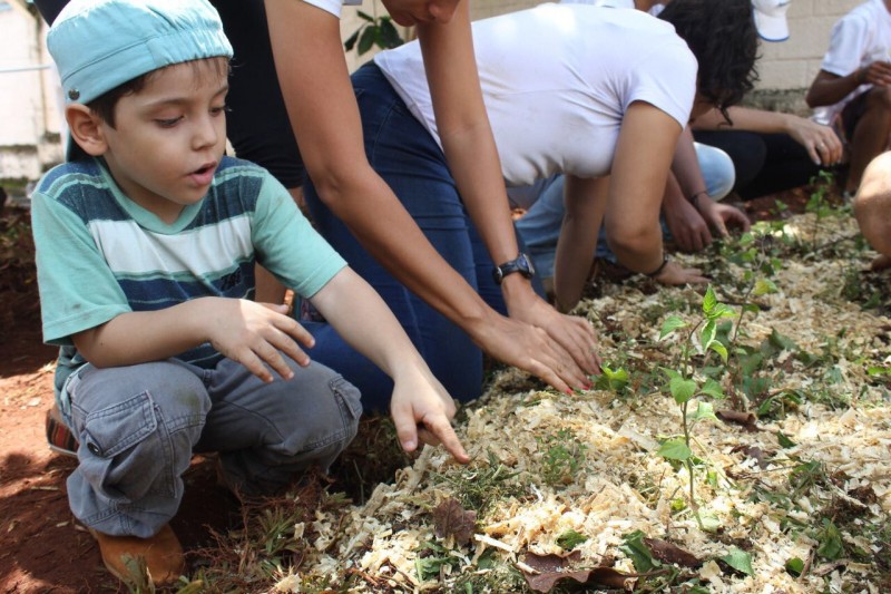 Projeto Festa na Horta comemora 1 ano de ONG EcomAmor