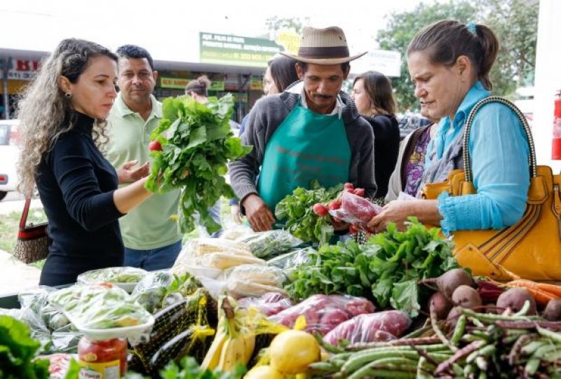 Agricultura familiar  terá R$ 30 bi em crédito