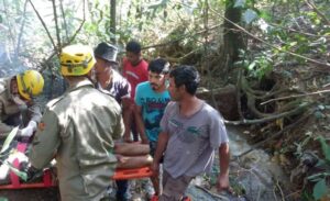 Jovem desaparecido em mata é encontrado