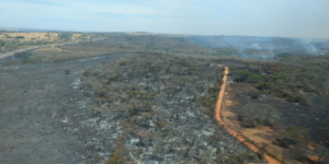 Prevenção a incêndio no Parque Altamiro Pacheco é discutida