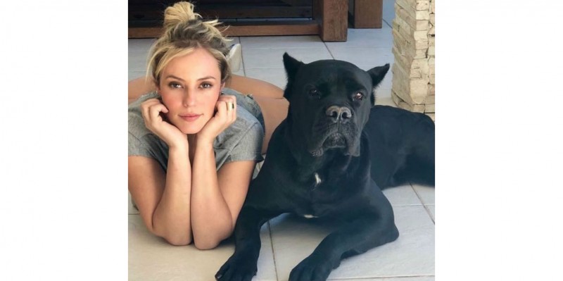 Paolla Oliveira toca violão e cachorro chama atenção: “plateia”