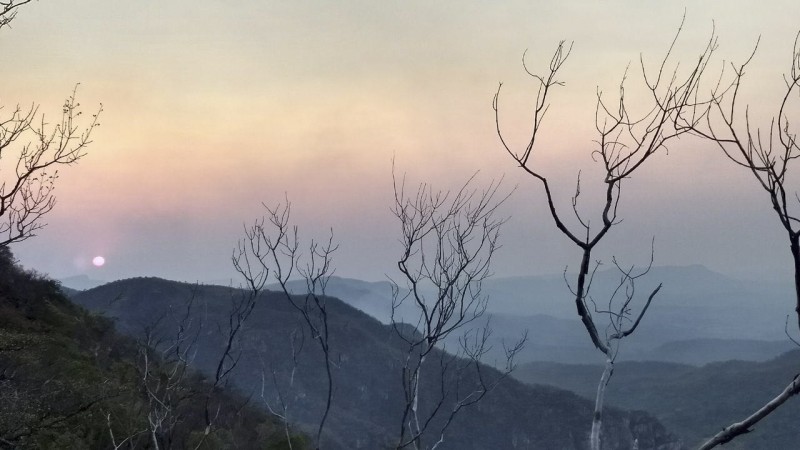 Vegetação da Chapada vai demorar a se recuperar