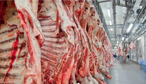 Em 2023, exportações goianas de carnes e miudezas para China atingiram valor de US$ 909,7 milhões