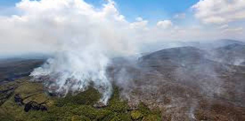 Bombeiros focam no combate a queimadas em florestais e parques