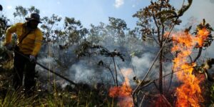 Secima planeja prevenção contra incêndios florestais