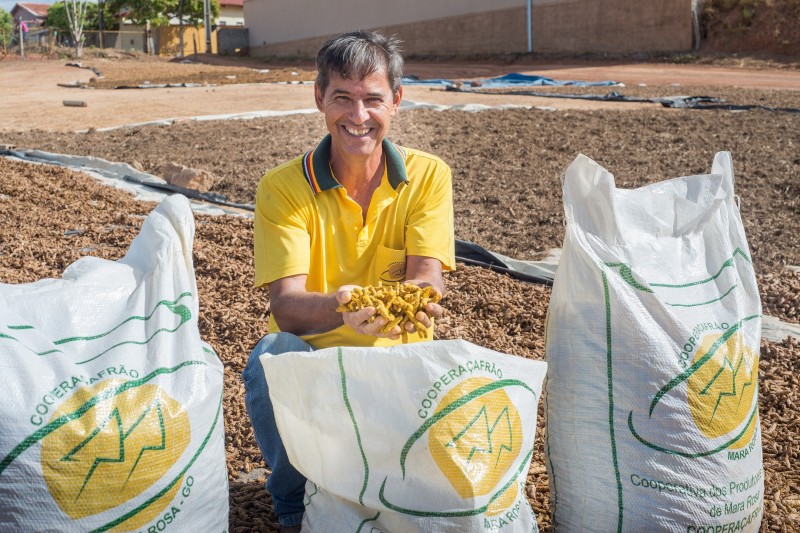 Produção de açafrão garante selo que agrega valor ao produto