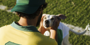 Barulhos provocados durante a copa pode estressar os pets