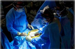 Na França todos agora  são doadores de órgãos