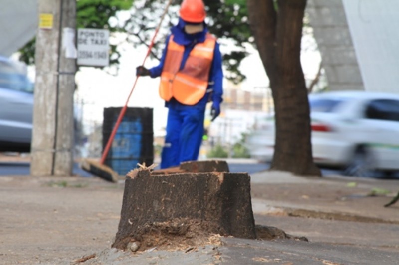 Prefeitura autoriza que construtora do Nexus retire árvores de calçada