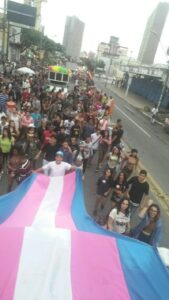 Parada LGBT reúne 50 mil em evento realizado em Goiânia