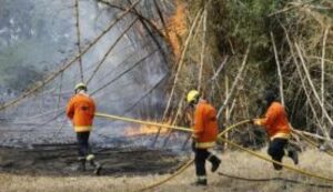 Incêndio em parque urbano do DF é controlado próximo à residência de governo