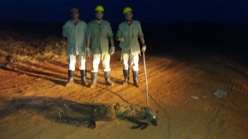 Corpo de Bombeiro prática vários resgates